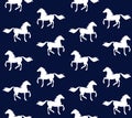 Vector seamless pattern of white horse silhouette Royalty Free Stock Photo