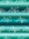 Vector seamless pattern of white killer whale swimming on gradient marine background Royalty Free Stock Photo