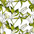 Vector seamless pattern with white lily flowers