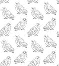 Vector seamless pattern of white polar snowy owl Royalty Free Stock Photo