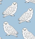 Vector seamless pattern of white polar snowy owl Royalty Free Stock Photo