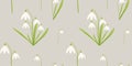 Vector seamless pattern with white snowdrops and green leaves