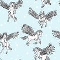 Vector seamless pattern of white winged pegasus