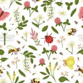 Vector seamless pattern of wild flowers, bee, bumblebee, dragonfly, ladybug, moth, butterfly