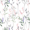 Vector seamless pattern with wild flowers, herbs and grasses.