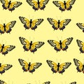 Vector seamless pattern yellow butterfly, natural pattern, fauna pattern, great for textile, background, wallpaper