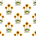 Vector seamless pattern with yellow sunflowers on white background. Royalty Free Stock Photo
