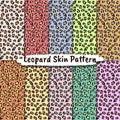 Vector seamless patterns set with animal skin texture Royalty Free Stock Photo