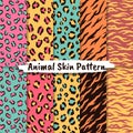 Vector seamless patterns set with animal skin texture Royalty Free Stock Photo