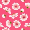 Vector seamless sakura pink pattern Royalty Free Stock Photo