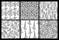 Vector seamless set of black and white floral patterns. Royalty Free Stock Photo