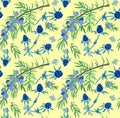 Summer floral pattern with juniper and blue flowers. Vector illustration