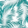 Vector seamless summer palm leaves on white background Royalty Free Stock Photo