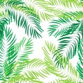 Vector seamless summer palm leaves on white background Royalty Free Stock Photo
