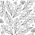 Vector seamless texture with leaves and flowers on white background. Hand drawn graphic illustration, with berries, acorns in Royalty Free Stock Photo