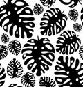 Vector seamless pattern, texture black tropical leaves exotic trendy