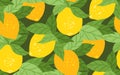 Vector seamless texture with yellow lemons with foliage on dark green background. Texture with sour fruits and leaves. Summer Royalty Free Stock Photo