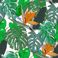 Vector Seamless Tropical Background With Monstera Leaves And Tropical Flowers. Jungle Pattern For Textile Or Book Covers,