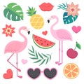 Vector seamless tropical pattern. Royalty Free Stock Photo