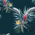 Vector seamless tropical pattern, vivid tropic foliage, with palm monstera leaves and protea, strelitzia flowers. Royalty Free Stock Photo