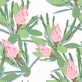 Vector seamless tropical pattern, vivid tropic foliage, with pink protea flower in bloom. Modern bright summer print design. Royalty Free Stock Photo