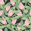 Vector seamless tropical pattern, vivid tropic foliage, with pink protea flower in bloom. Royalty Free Stock Photo