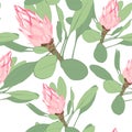 Vector seamless tropical pattern, vivid tropic foliage, with pink protea flower in bloom. Royalty Free Stock Photo