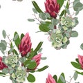 Vector seamless tropical pattern, vivid tropic foliage, with pink protea flower in bloom. Royalty Free Stock Photo