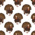 Vector seamless turkey pattern.