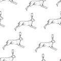 Vector seamless vintage pattern with running hare isolated on white. Black and white texture with hand drawn jumping rabbit. Royalty Free Stock Photo