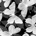 Vector Seamless Watercolor Butterfly Pattern Royalty Free Stock Photo