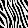 Vector seamless zebra texture