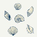 Vector seashell doodles. Hand-drawn oysters and shells isolated on beige background. Tasty food for design, print