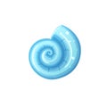 Vector seashell icon