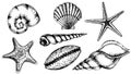 Vector Seashells set. Hand drawn illustration of sea Shells on isolated background. Drawing of Scallop and Starfish on Royalty Free Stock Photo