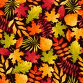 Vector seasonal watercolor seamless pattern with maple, oak, rowan, birch leaves on black. Colorful autumn background Royalty Free Stock Photo