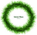 Vector Seaweed Garland - Round Isolated Vegetative Grass Cadre Royalty Free Stock Photo