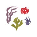 Vector seaweed icons isolated on whire. Sea coral and underwater marine plants.