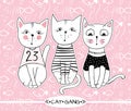 Vector series with cute fashion cats. Stylish kitten set. Trendy