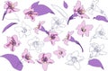 Vector set of abstract blooming flowers. Purple flowers vector colletion.