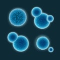Set of cocci bacteria Royalty Free Stock Photo