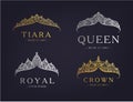 Vector set of abstract luxury, royal golden, silver company logo icon vector design. Isolated on dark background Royalty Free Stock Photo