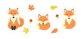 Vector set with adorable foxes, acorns and autumn leaves