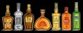 Vector Set of Alcohol Bottles Royalty Free Stock Photo