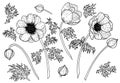 Vector set of Anemone Flowers. Hand drawn floral illustration of plants with leaves and buds on isolated background in Royalty Free Stock Photo