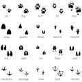Vector set of 20 animal footprints icon
