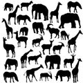 Vector set of animal silhouettes Royalty Free Stock Photo