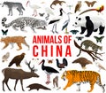 vector set - animals of china Royalty Free Stock Photo