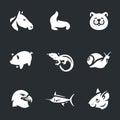 Vector Set of Animals Icons.