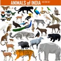Vector Set Of Animals Of India